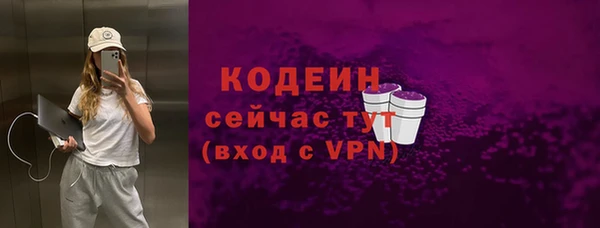 шишки Пестово