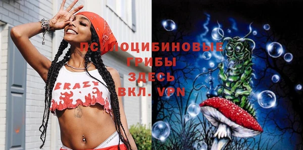 шишки Пестово