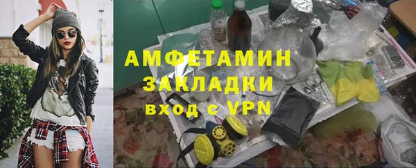 шишки Пестово