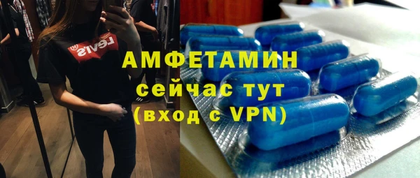 шишки Пестово